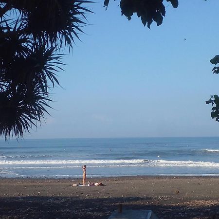 Medewi Good Vibes Stay&Surf Jembrana المظهر الخارجي الصورة