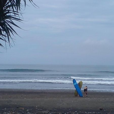 Medewi Good Vibes Stay&Surf Jembrana المظهر الخارجي الصورة