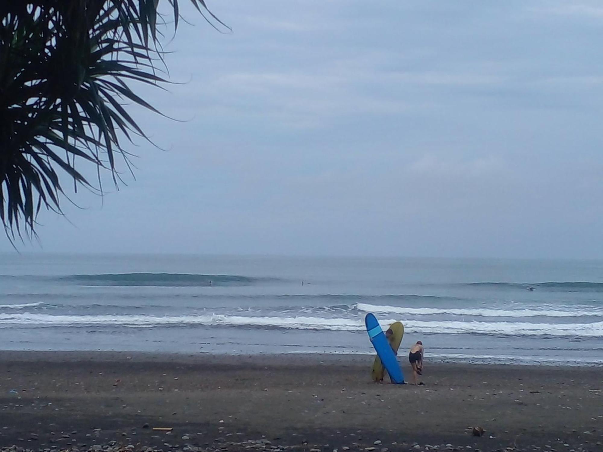 Medewi Good Vibes Stay&Surf Jembrana المظهر الخارجي الصورة