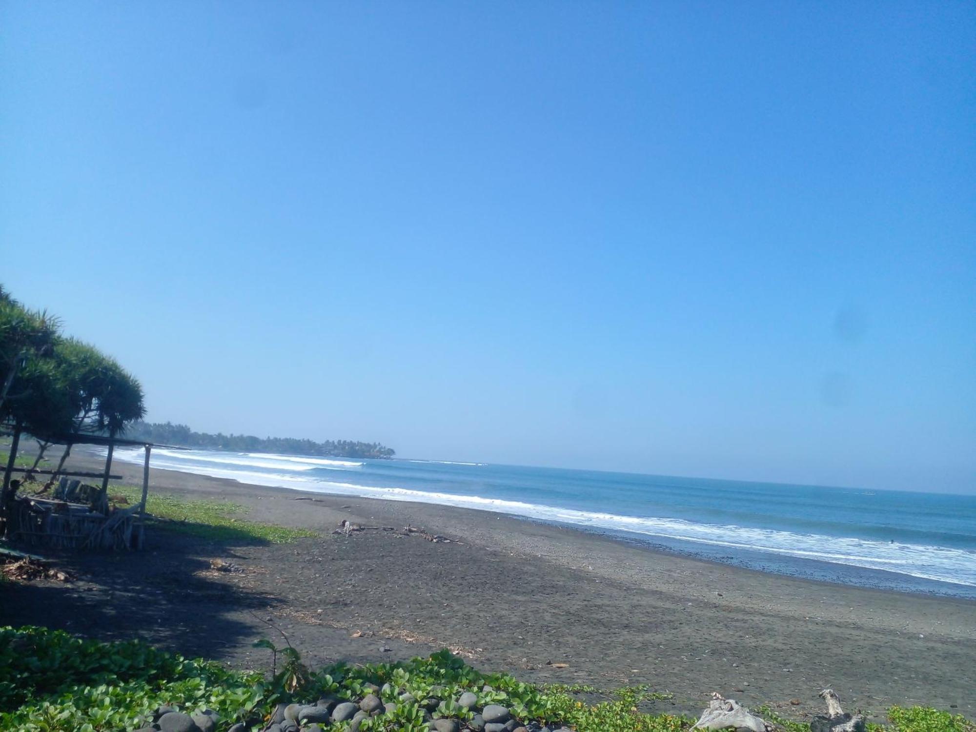 Medewi Good Vibes Stay&Surf Jembrana المظهر الخارجي الصورة