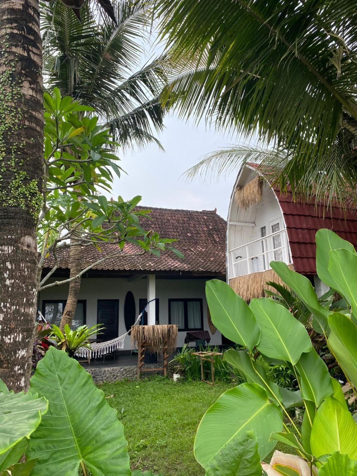 Medewi Good Vibes Stay&Surf Jembrana الغرفة الصورة